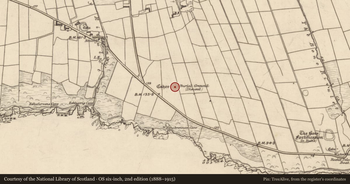 Ordnance Survey six-inch map, 2nd edition (1888–1915) covering the location of Ringfort - cashel, Ballylongane, County Kerry, with a pin at the register's coordinates