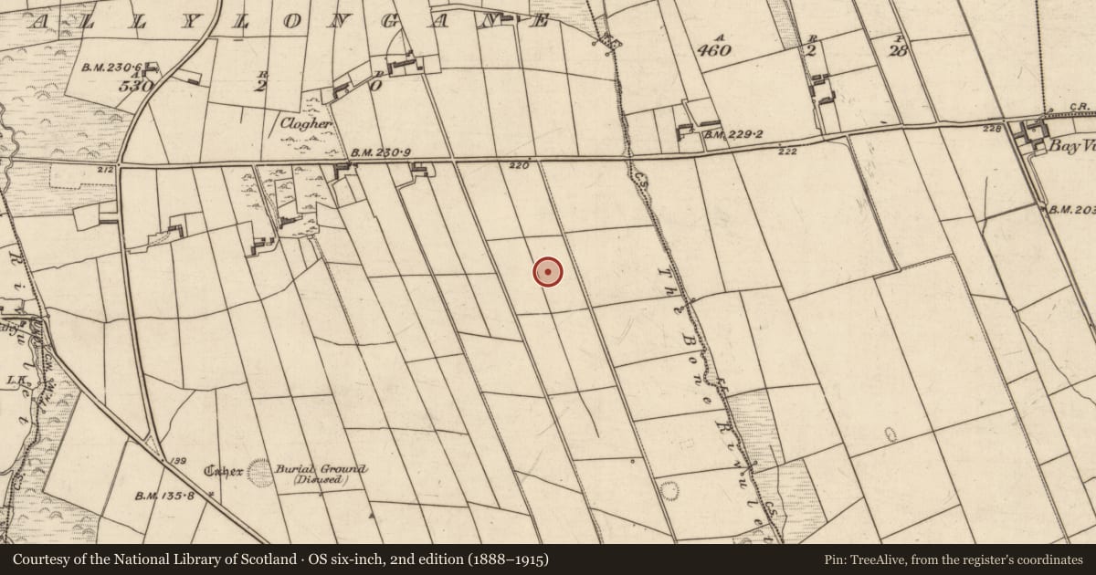 Ordnance Survey six-inch map, 2nd edition (1888–1915) covering the location of Ringfort - rath, Ballylongane, County Kerry, with a pin at the register's coordinates