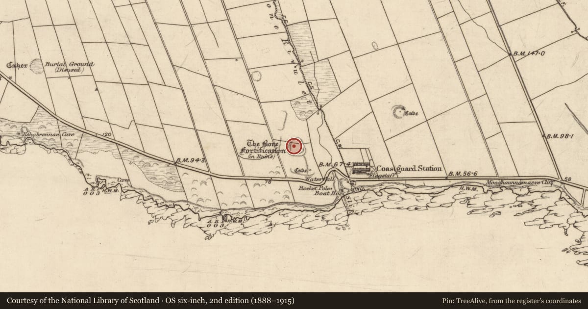 Ordnance Survey six-inch map, 2nd edition (1888–1915) covering the location of Fortification, Ballylongane, County Kerry, with a pin at the register's coordinates