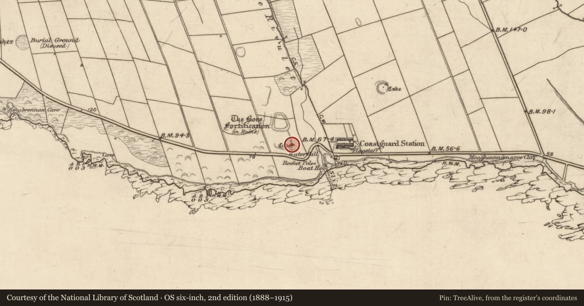 Ordnance Survey six-inch map, 2nd edition (1888–1915) covering the location of Souterrain, Ballylongane, County Kerry, with a pin at the register's coordinates