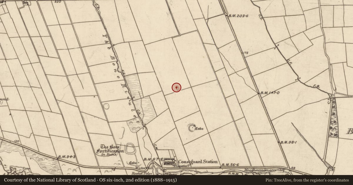 Ordnance Survey six-inch map, 2nd edition (1888–1915) covering the location of Enclosure, Dromatoor, County Kerry, with a pin at the register's coordinates