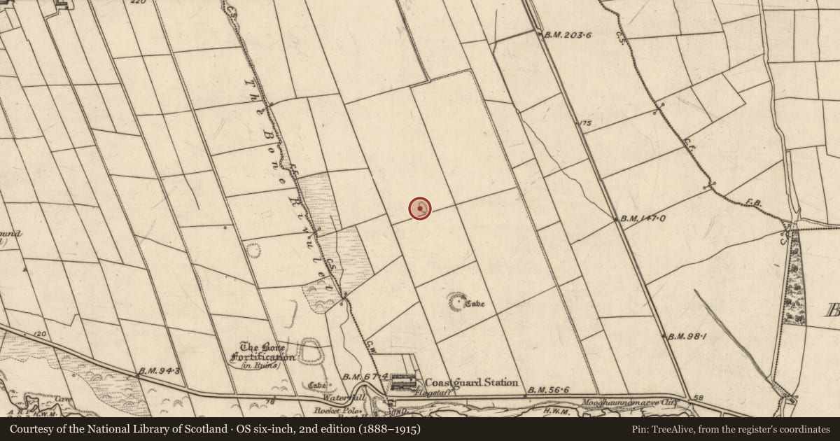 Ordnance Survey six-inch map, 2nd edition (1888–1915) covering the location of Hut site, Dromatoor, County Kerry, with a pin at the register's coordinates