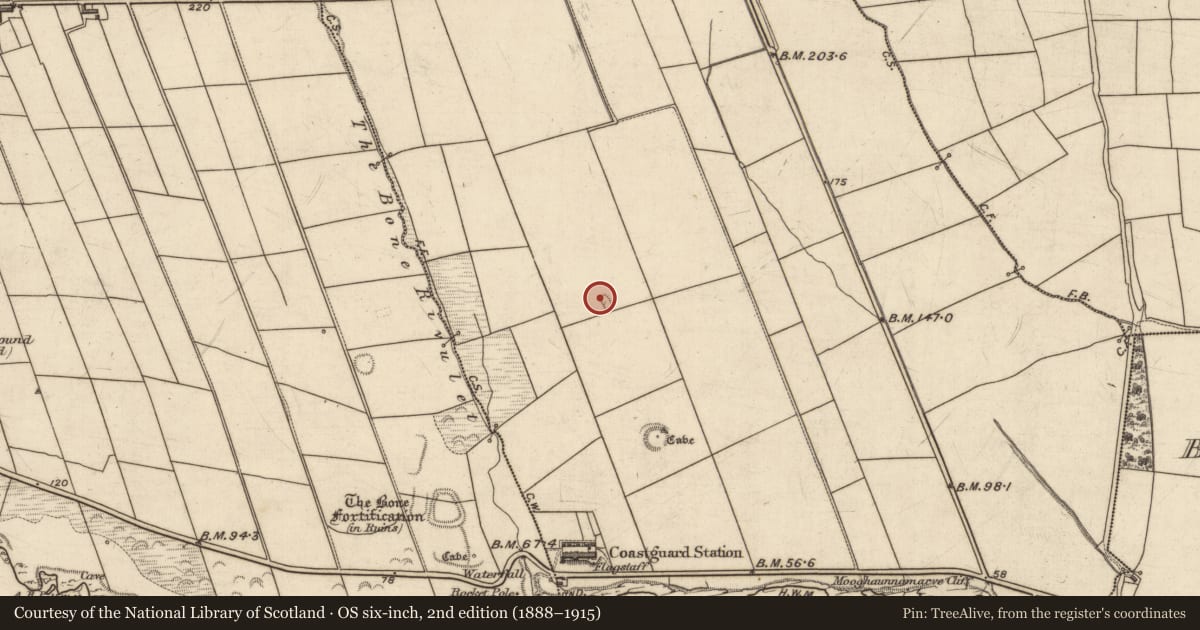 Ordnance Survey six-inch map, 2nd edition (1888–1915) covering the location of Hut site, Dromatoor, County Kerry, with a pin at the register's coordinates
