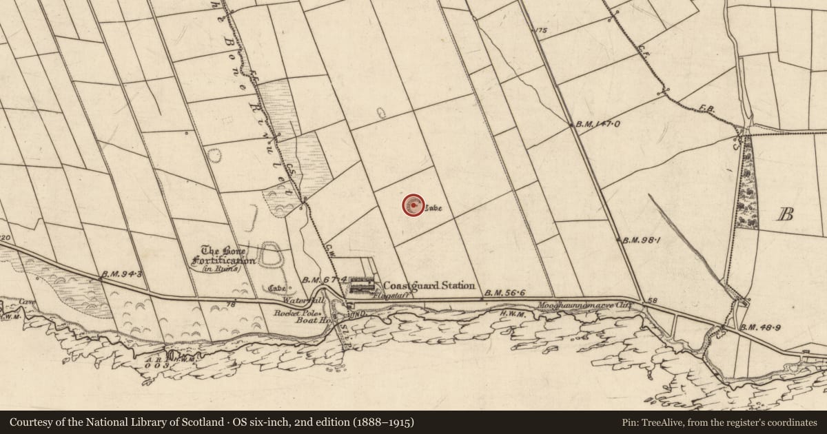Ordnance Survey six-inch map, 2nd edition (1888–1915) covering the location of Enclosure, Dromatoor, County Kerry, with a pin at the register's coordinates