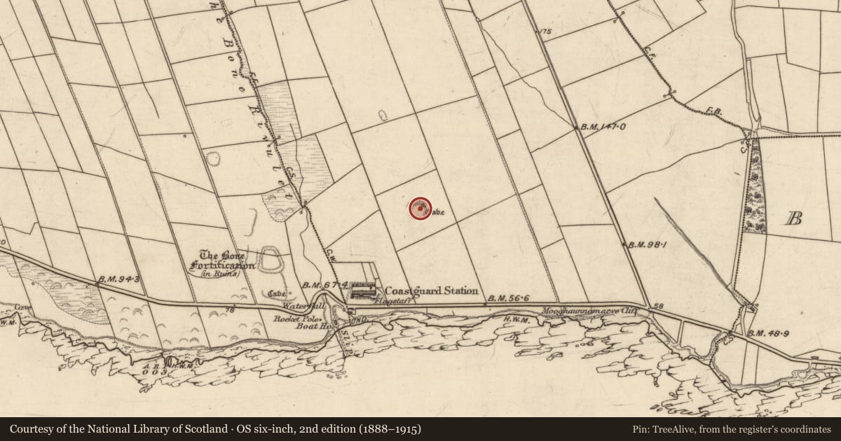 Ordnance Survey six-inch map, 2nd edition (1888–1915) covering the location of Souterrain, Dromatoor, County Kerry, with a pin at the register's coordinates