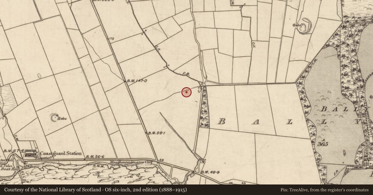 Ordnance Survey six-inch map, 2nd edition (1888–1915) covering the location of Ringfort - rath, Dromatoor, County Kerry, with a pin at the register's coordinates
