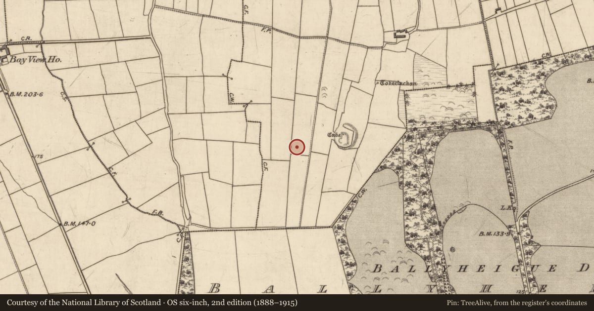 Ordnance Survey six-inch map, 2nd edition (1888–1915) covering the location of Ringfort - cashel, Knockane, County Kerry, with a pin at the register's coordinates
