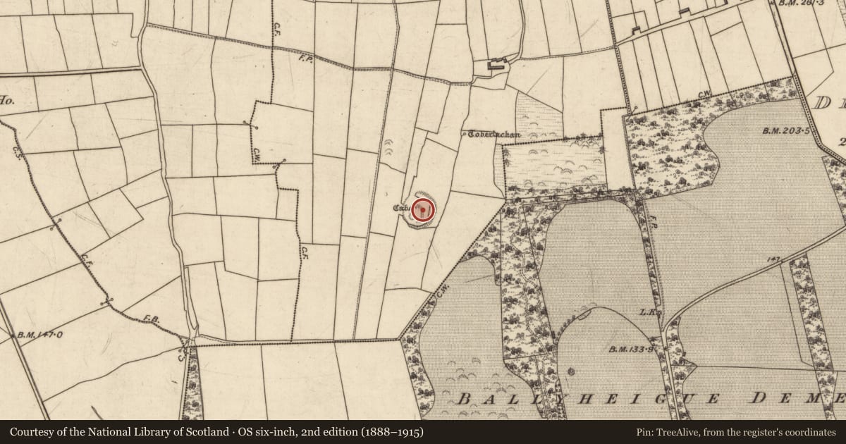 Ordnance Survey six-inch map, 2nd edition (1888–1915) covering the location of Clochan, Knockane, County Kerry, with a pin at the register's coordinates