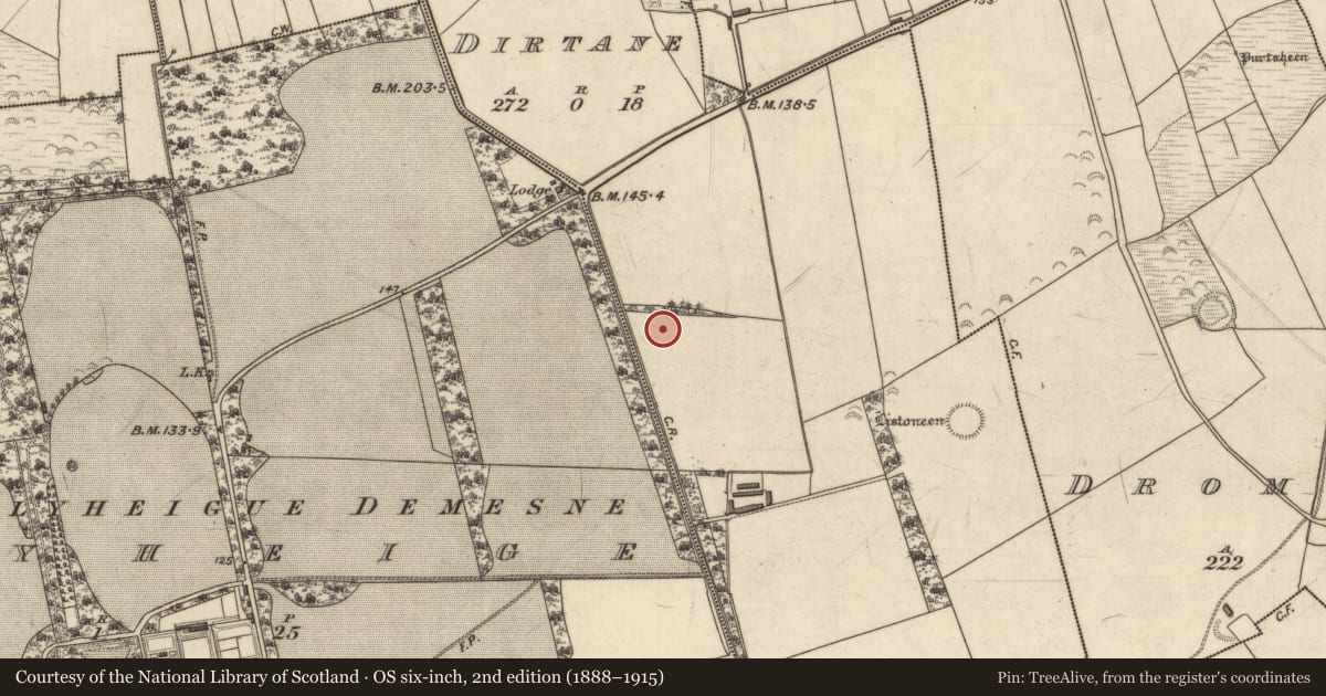 Ordnance Survey six-inch map, 2nd edition (1888–1915) covering the location of Ringfort - rath, Dirtane, County Kerry, with a pin at the register's coordinates