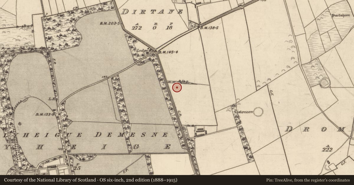 Ordnance Survey six-inch map, 2nd edition (1888–1915) covering the location of Souterrain, Dirtane, County Kerry, with a pin at the register's coordinates