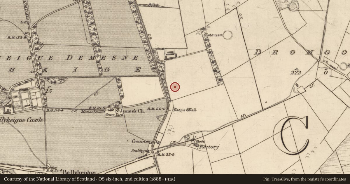 Ordnance Survey six-inch map, 2nd edition (1888–1915) covering the location of Ringfort - rath, Dirtane, County Kerry, with a pin at the register's coordinates
