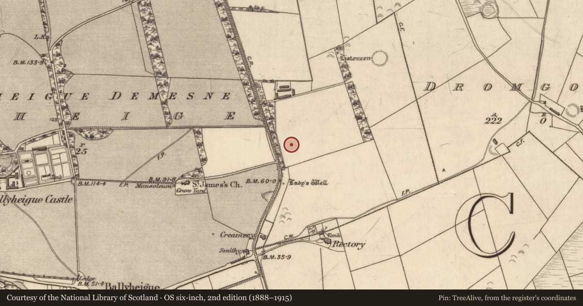 Ordnance Survey six-inch map, 2nd edition (1888–1915) covering the location of Souterrain, Dirtane, County Kerry, with a pin at the register's coordinates