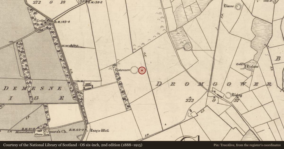 Ordnance Survey six-inch map, 2nd edition (1888–1915) covering the location of Fulacht fia, Dirtane, County Kerry, with a pin at the register's coordinates