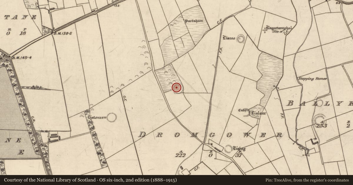 Ordnance Survey six-inch map, 2nd edition (1888–1915) covering the location of Ringfort - rath, Dromgower, County Kerry, with a pin at the register's coordinates