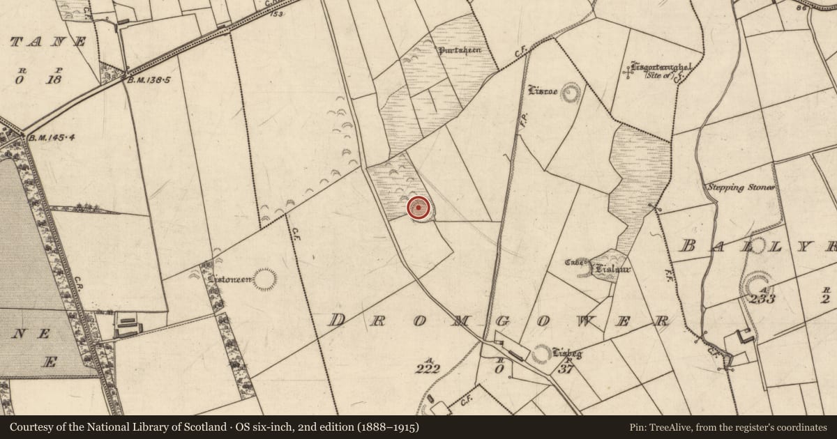 Ordnance Survey six-inch map, 2nd edition (1888–1915) covering the location of Souterrain, Dromgower, County Kerry, with a pin at the register's coordinates