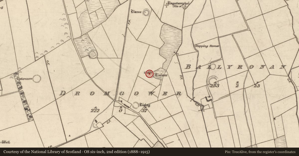 Ordnance Survey six-inch map, 2nd edition (1888–1915) covering the location of Ringfort - rath, Dromgower, County Kerry, with a pin at the register's coordinates