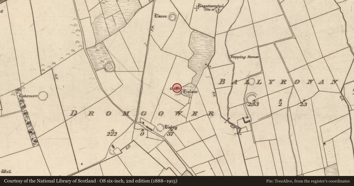 Ordnance Survey six-inch map, 2nd edition (1888–1915) covering the location of Souterrain, Dromgower, County Kerry, with a pin at the register's coordinates