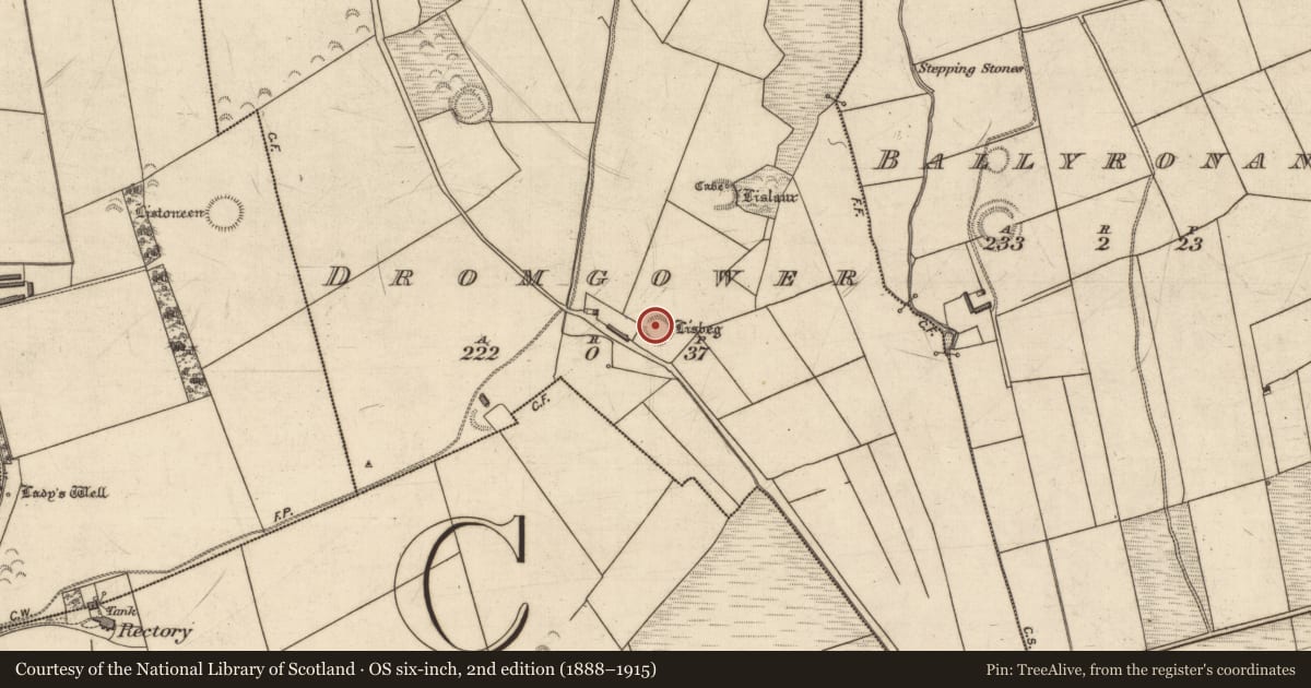 Ordnance Survey six-inch map, 2nd edition (1888–1915) covering the location of Souterrain, Dromgower, County Kerry, with a pin at the register's coordinates