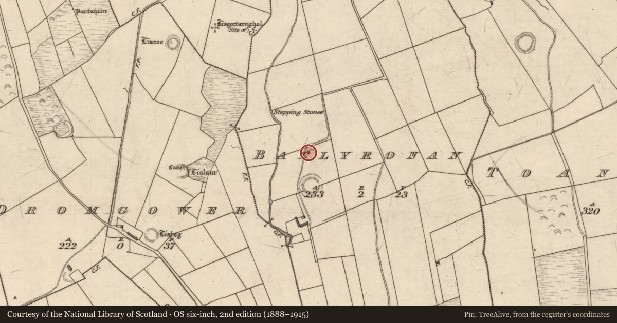 Ordnance Survey six-inch map, 2nd edition (1888–1915) covering the location of Ringfort - rath, Ballyronan, County Kerry, with a pin at the register's coordinates