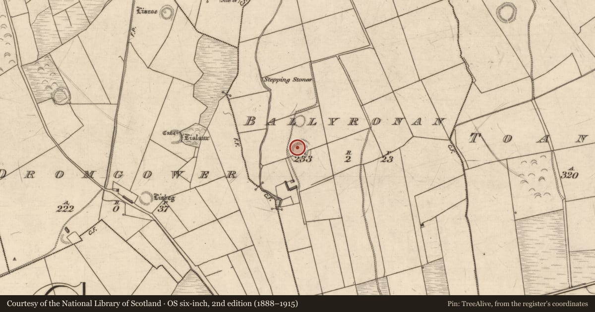 Ordnance Survey six-inch map, 2nd edition (1888–1915) covering the location of Mound, Ballyronan, County Kerry, with a pin at the register's coordinates