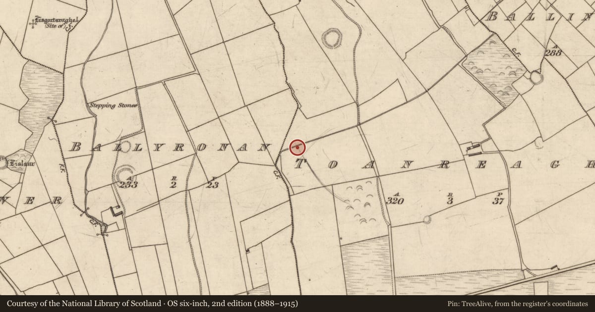 Ordnance Survey six-inch map, 2nd edition (1888–1915) covering the location of Ringfort - rath, Toanreagh, County Kerry, with a pin at the register's coordinates