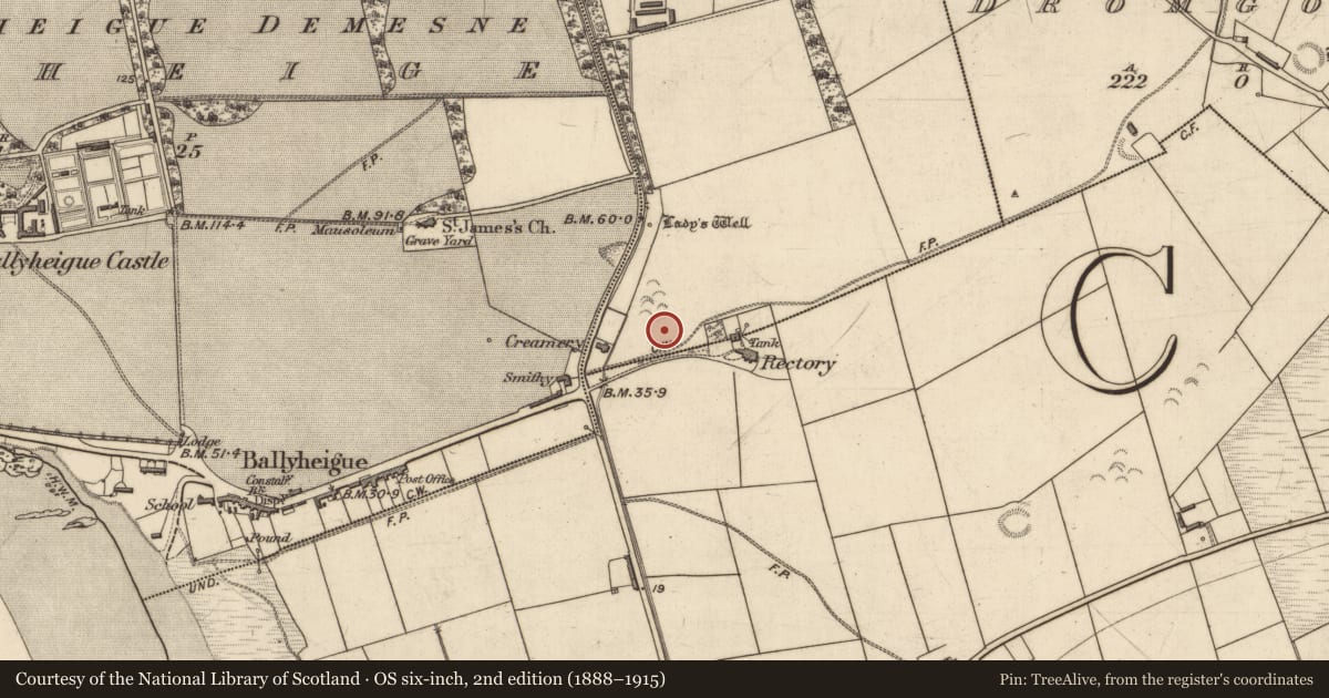 Ordnance Survey six-inch map, 2nd edition (1888–1915) covering the location of Ringfort - rath, Dirtane, County Kerry, with a pin at the register's coordinates