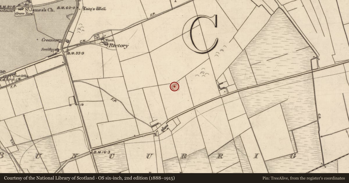 Ordnance Survey six-inch map, 2nd edition (1888–1915) covering the location of Ringfort - rath, Buncurrig, County Kerry, with a pin at the register's coordinates
