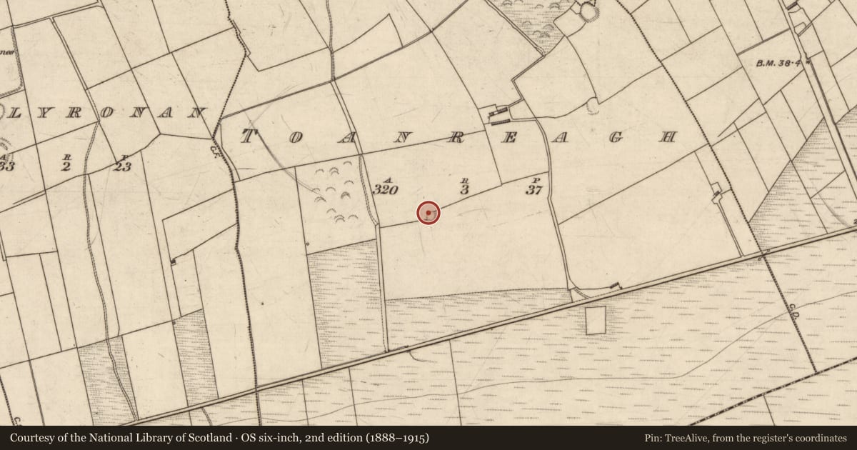 Ordnance Survey six-inch map, 2nd edition (1888–1915) covering the location of Fulacht fia, Toanreagh, County Kerry, with a pin at the register's coordinates