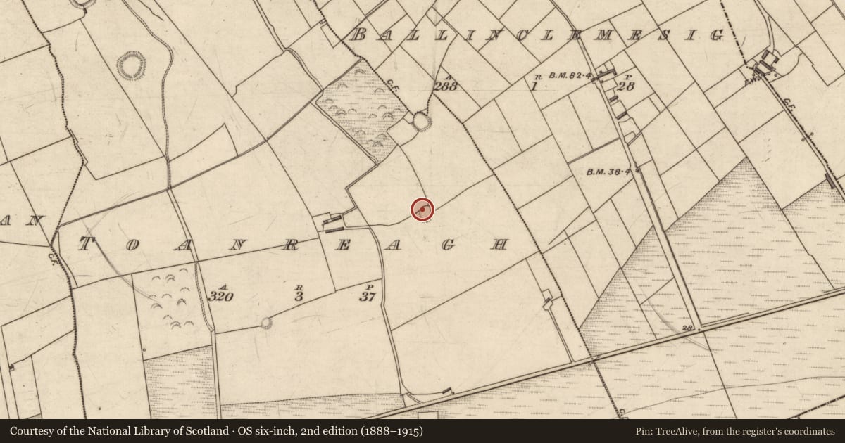 Ordnance Survey six-inch map, 2nd edition (1888–1915) covering the location of Souterrain, Toanreagh, County Kerry, with a pin at the register's coordinates