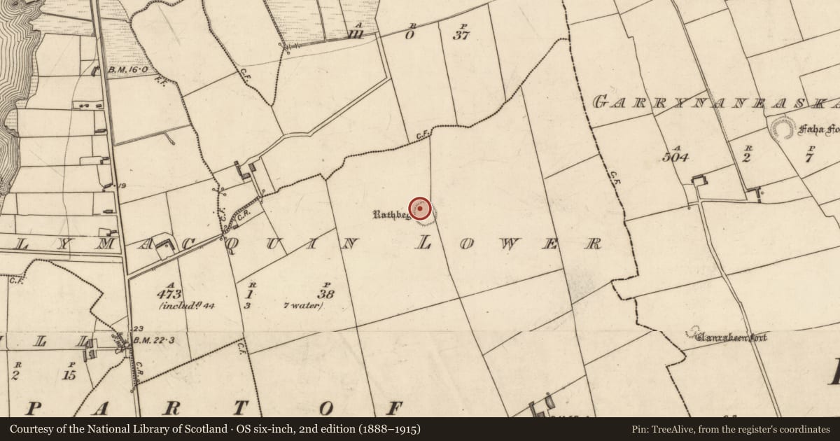 Ordnance Survey six-inch map, 2nd edition (1888–1915) covering the location of Ringfort - rath, Ballymacquin Lower, County Kerry, with a pin at the register's coordinates