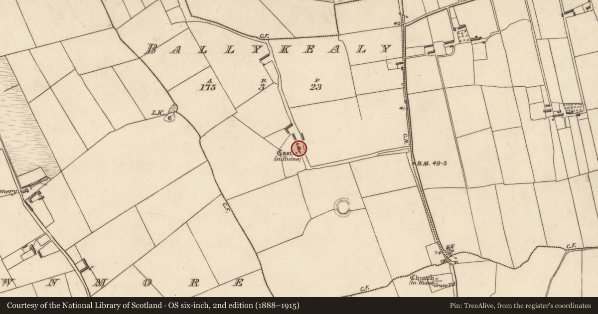 Ordnance Survey six-inch map, 2nd edition (1888–1915) covering the location of Castle - unclassified, Ballykealy, County Kerry, with a pin at the register's coordinates