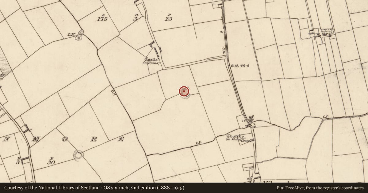 Ordnance Survey six-inch map, 2nd edition (1888–1915) covering the location of Ringfort - rath, Ballykealy, County Kerry, with a pin at the register's coordinates