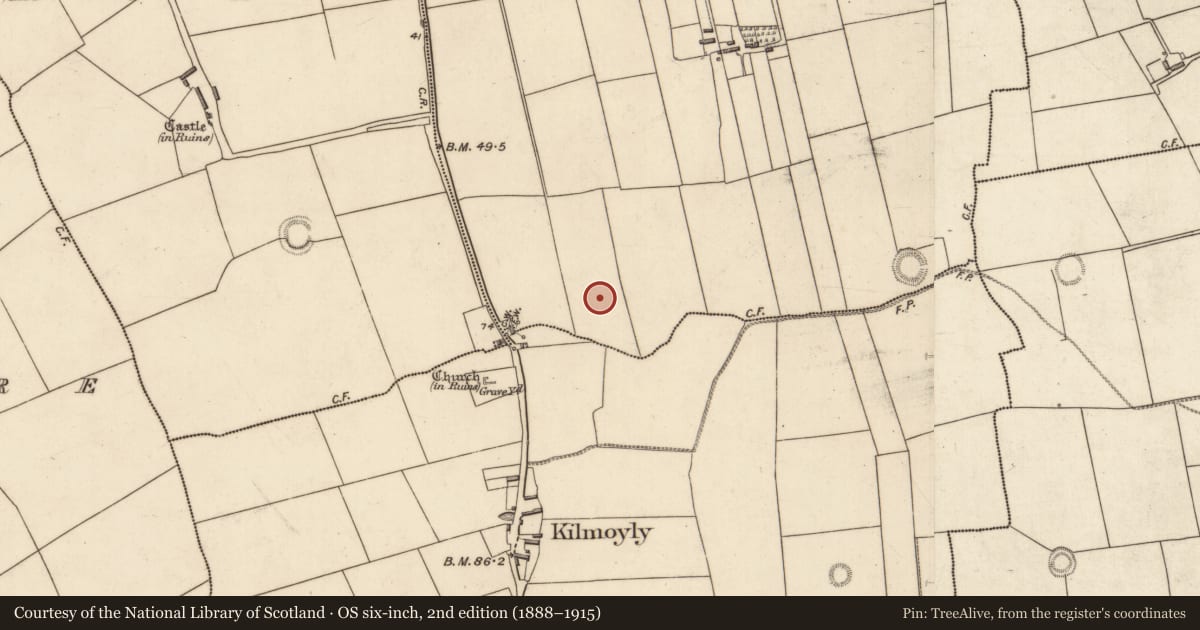 Ordnance Survey six-inch map, 2nd edition (1888–1915) covering the location of Ringfort - rath, Togherbane, County Kerry, with a pin at the register's coordinates