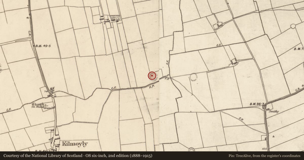 Ordnance Survey six-inch map, 2nd edition (1888–1915) covering the location of Ringfort - rath, Togherbane, County Kerry, with a pin at the register's coordinates