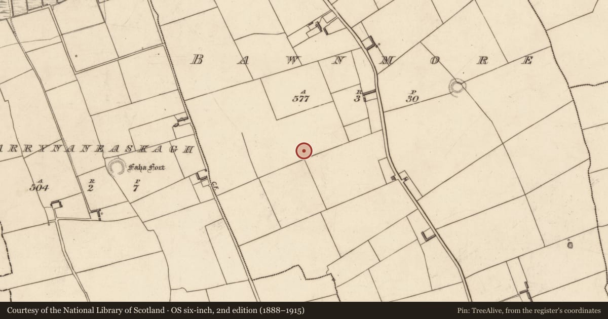 Ordnance Survey six-inch map, 2nd edition (1888–1915) covering the location of Ringfort - rath, Bawnmore, County Kerry, with a pin at the register's coordinates
