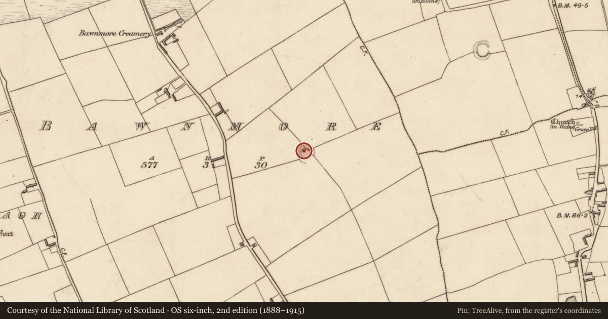 Ordnance Survey six-inch map, 2nd edition (1888–1915) covering the location of Ringfort - rath, Bawnmore, County Kerry, with a pin at the register's coordinates