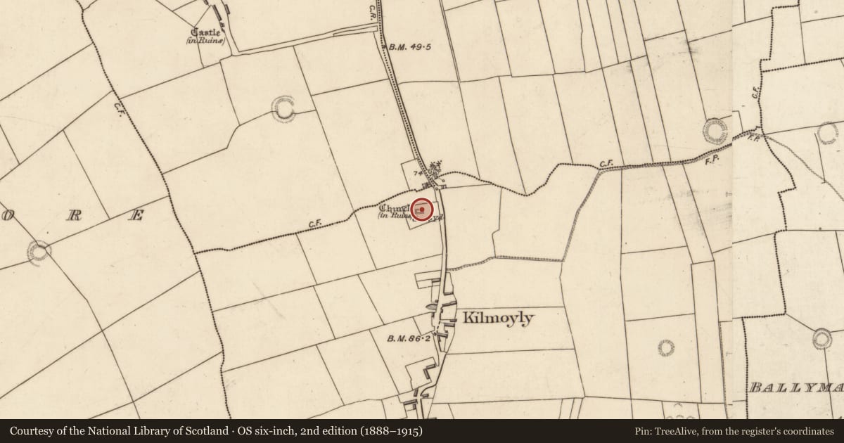 Ordnance Survey six-inch map, 2nd edition (1888–1915) covering the location of Graveyard, Kilmoyly South, County Kerry, with a pin at the register's coordinates