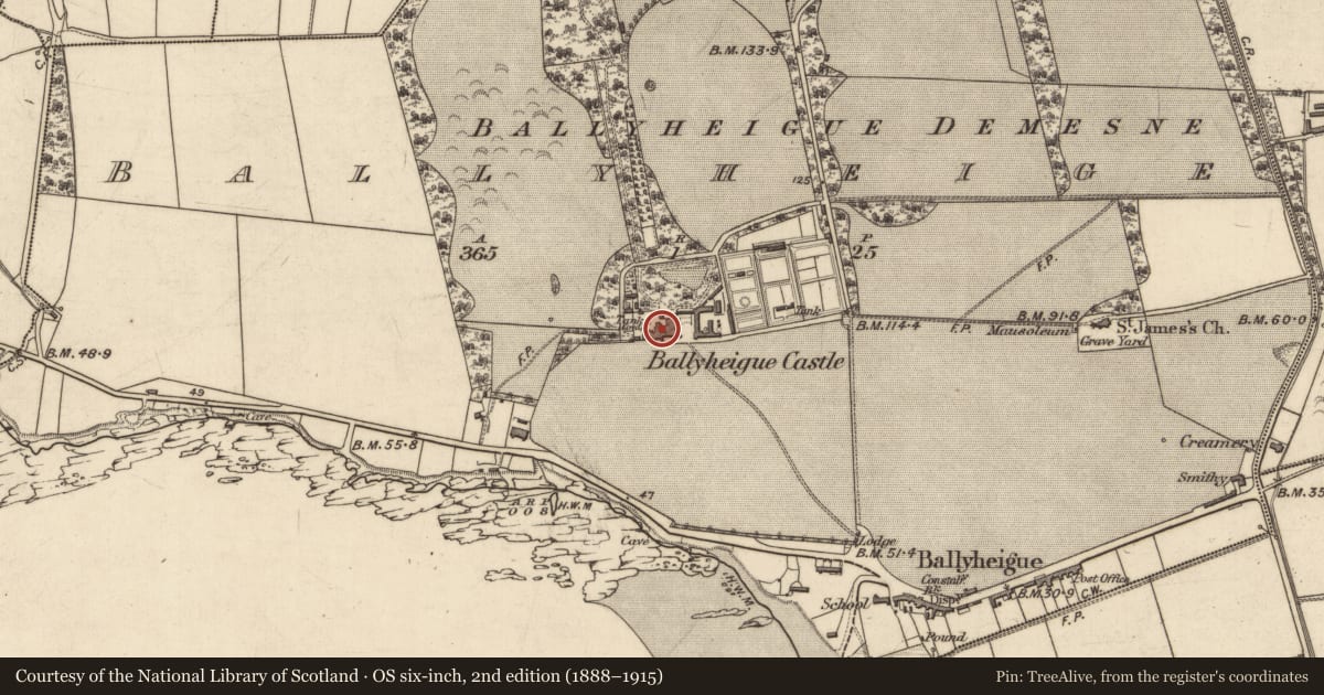 Ordnance Survey six-inch map, 2nd edition (1888–1915) covering the location of Castle - unclassified, Ballyheige, County Kerry, with a pin at the register's coordinates
