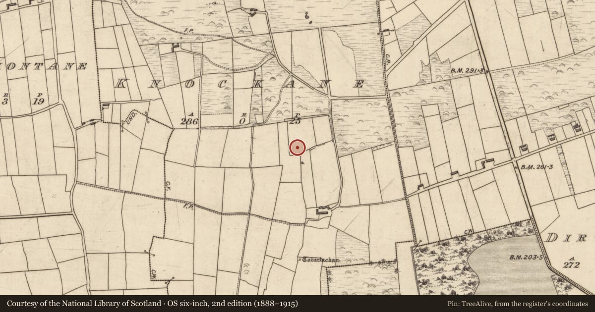 Ordnance Survey six-inch map, 2nd edition (1888–1915) covering the location of Bullaun stone, Knockane, County Kerry, with a pin at the register's coordinates
