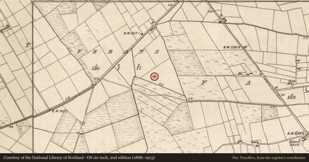 Ordnance Survey six-inch map, 2nd edition (1888–1915) covering the location of Enclosure, Feeans, County Kerry, with a pin at the register's coordinates