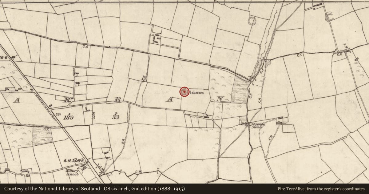 Ordnance Survey six-inch map, 2nd edition (1888–1915) covering the location of Souterrain, Farran, County Kerry, with a pin at the register's coordinates