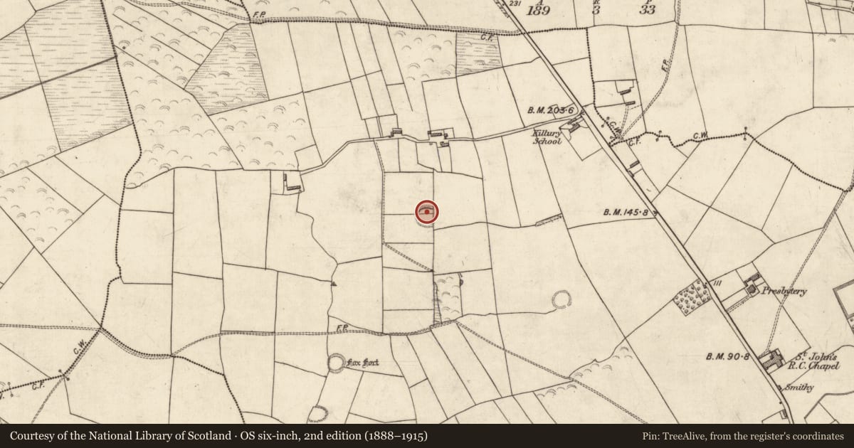 Ordnance Survey six-inch map, 2nd edition (1888–1915) covering the location of Souterrain, Dromkeen West, County Kerry, with a pin at the register's coordinates