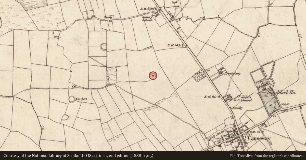 Ordnance Survey six-inch map, 2nd edition (1888–1915) covering the location of Souterrain, Dromkeen West, County Kerry, with a pin at the register's coordinates