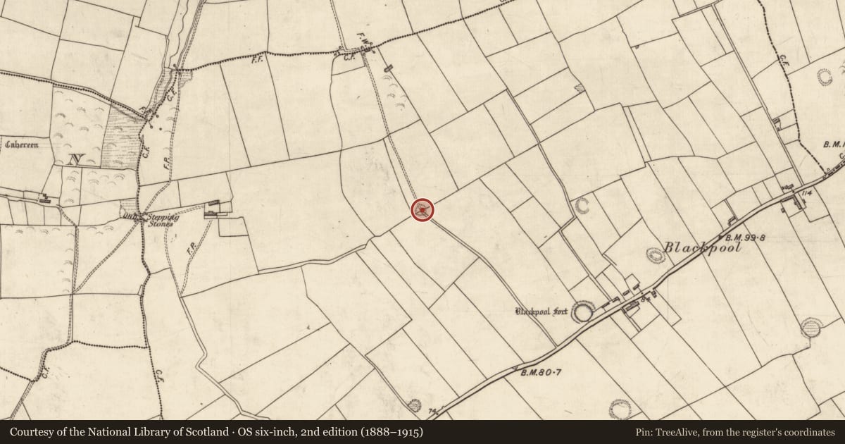 Ordnance Survey six-inch map, 2nd edition (1888–1915) covering the location of Ringfort - rath, Dromkeen East, County Kerry, with a pin at the register's coordinates