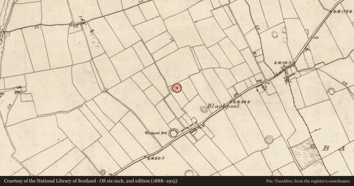 Ordnance Survey six-inch map, 2nd edition (1888–1915) covering the location of Ringfort - rath, Dromkeen East, County Kerry, with a pin at the register's coordinates