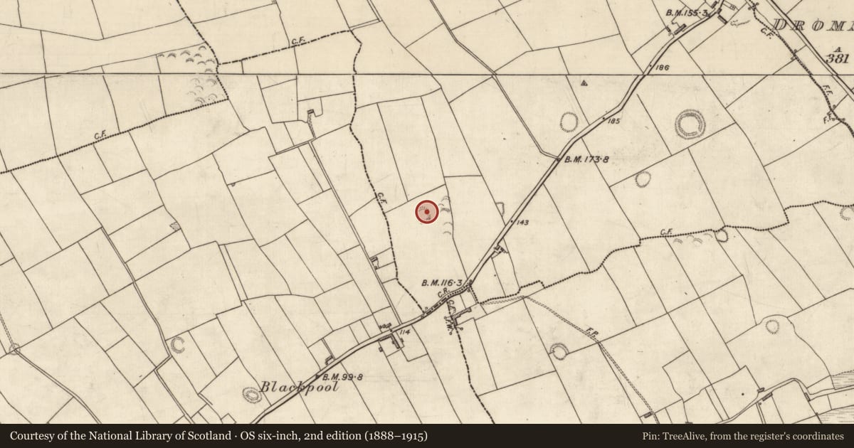 Ordnance Survey six-inch map, 2nd edition (1888–1915) covering the location of Ringfort - rath, Tullaghna, County Kerry, with a pin at the register's coordinates