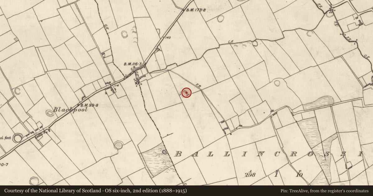 Ordnance Survey six-inch map, 2nd edition (1888–1915) covering the location of Hut site, Ballincrossig, County Kerry, with a pin at the register's coordinates