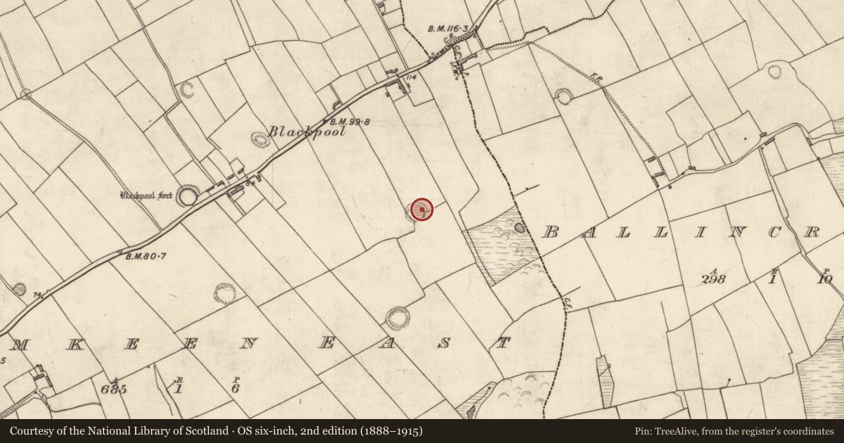 Ordnance Survey six-inch map, 2nd edition (1888–1915) covering the location of Ringfort - rath, Dromkeen East, County Kerry, with a pin at the register's coordinates