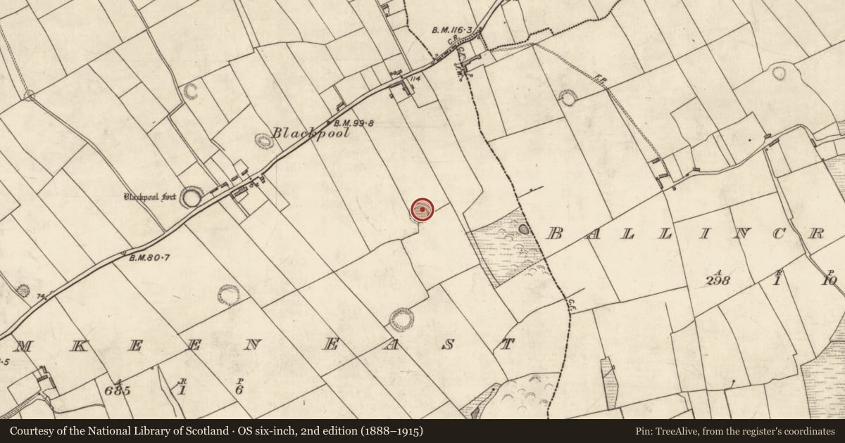 Ordnance Survey six-inch map, 2nd edition (1888–1915) covering the location of House - indeterminate date, Dromkeen East, County Kerry, with a pin at the register's coordinates