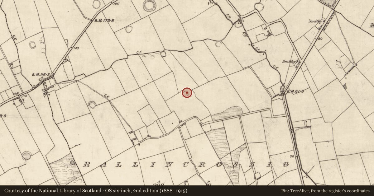 Ordnance Survey six-inch map, 2nd edition (1888–1915) covering the location of Ringfort - rath, Ballincrossig, County Kerry, with a pin at the register's coordinates